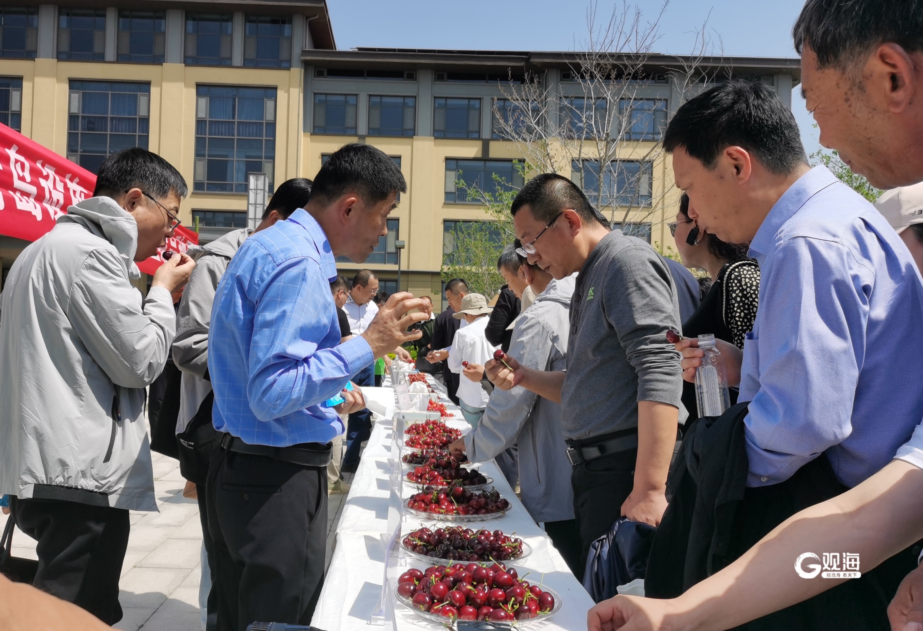 闪电号>本地>青岛新闻>3102_2121