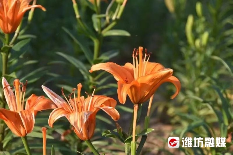 游园登山赶海……这个假期太嗨了(图5)