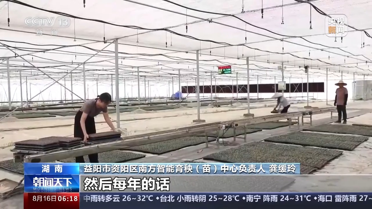 蔬菜填上“空档期” 探寻藏在育秧工厂里的丰收密码(图1)