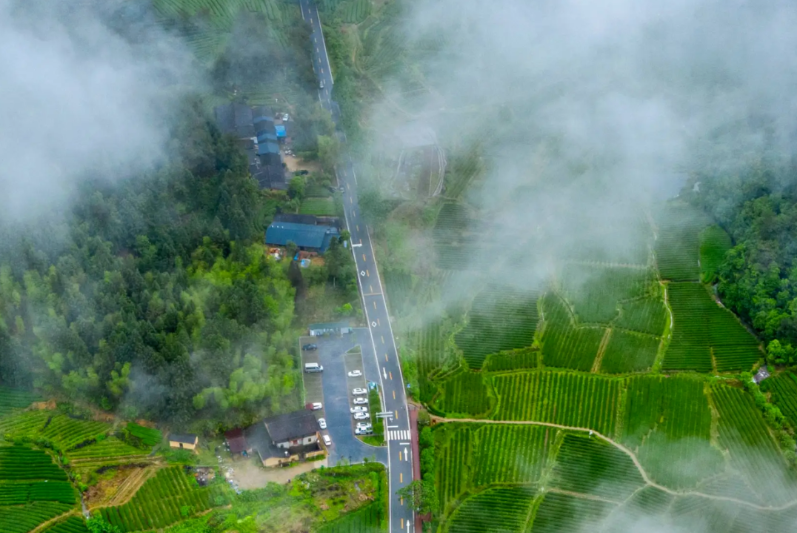 國家公園1號風景道尋茶路線 圖源：大武夷文旅.png