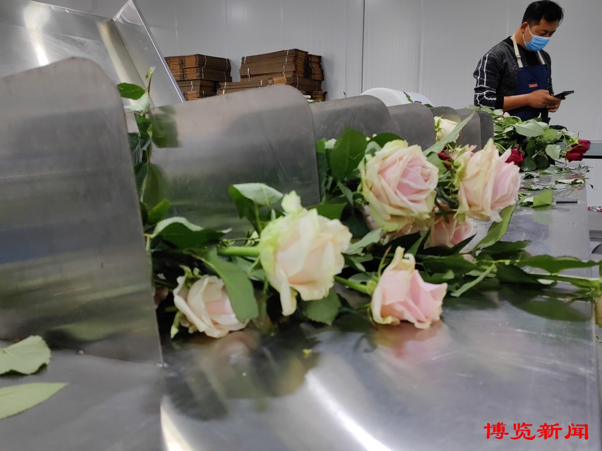我在现场丨“零碳”花园