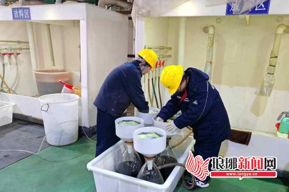 风云体育网址郯城工业经济发展驶入快车道(图4)