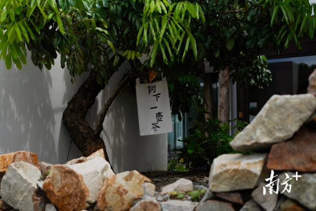 崖口村內的文藝民宿。