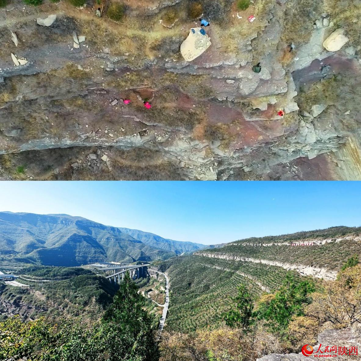 上圖為曾經一片荒蕪的黃河懸崖邊。資料圖  下圖為如今黃河懸崖邊草木蔥蘢。人民網記者 白鴿攝
