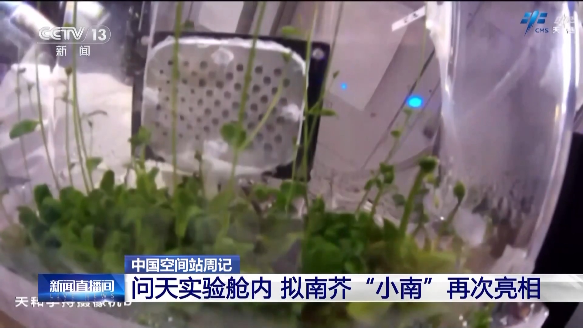 太空“出差”快两个月神二十一乘组都做了哪些工作？_大陆_国内新闻_新闻_齐鲁网