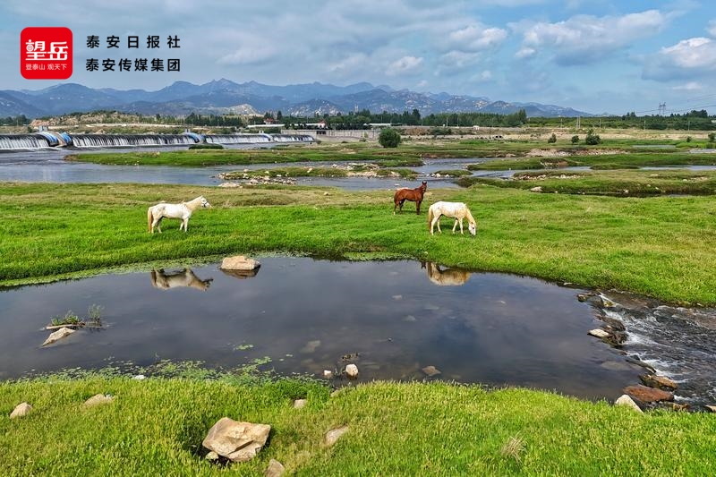 来“阿勒泰泰安分泰”周边游解锁汶河畔的多种玩法(图3)