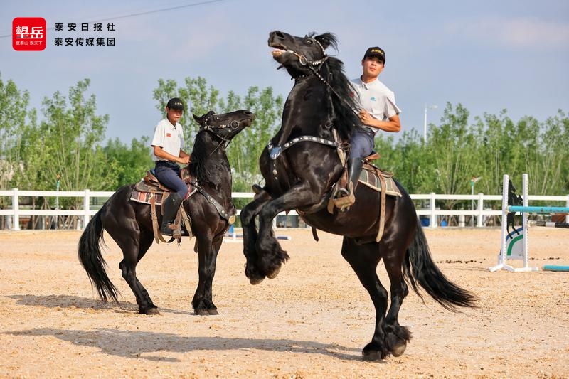 来“阿勒泰泰安分泰”周边游解锁汶河畔的多种玩法(图4)