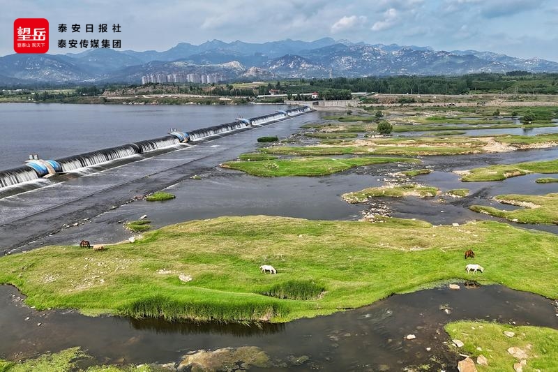 来“阿勒泰泰安分泰”周边游解锁汶河畔的多种玩法(图2)