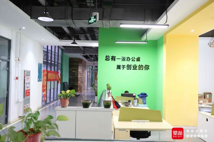 泰山区推动县域经济高质量发展产业图强城市向新(图3)