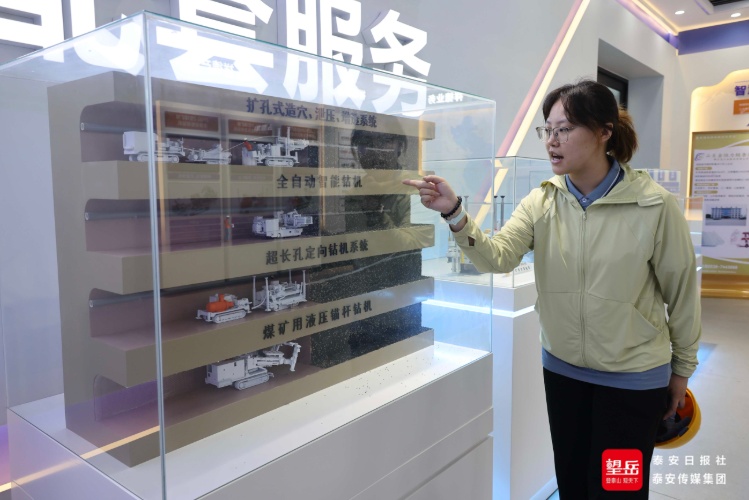 泰山区推动县域经济高质量发展产业图强城市向新(图5)