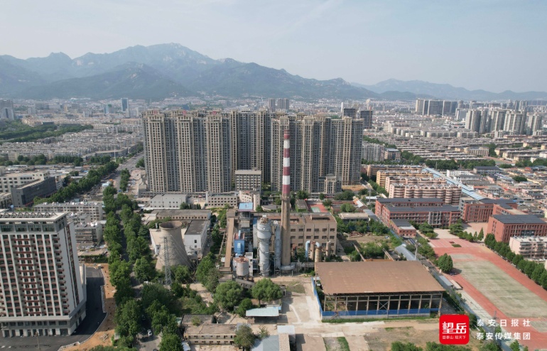 泰山区推动县域经济高质量发展产业图强城市向新(图1)