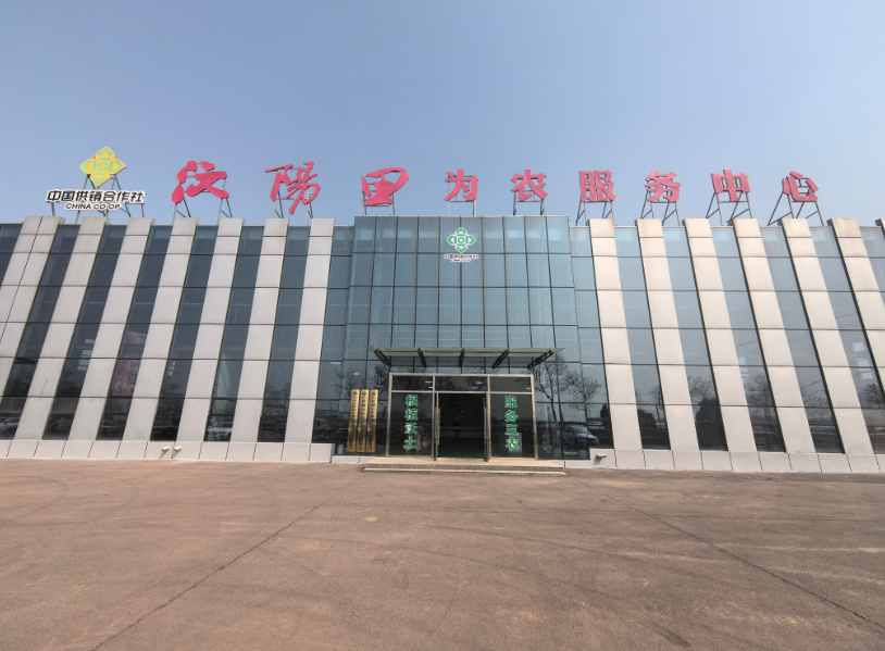 从“集采降本”到“数智兴农”肥城供销社多点发力激发乡村振兴新动力(图3)