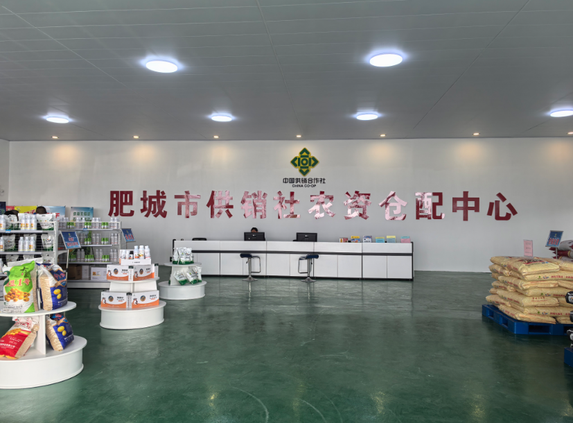 从“集采降本”到“数智兴农”肥城供销社多点发力激发乡村振兴新动力(图1)