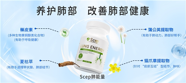 健身撸铁爱好者护肺测评槲皮素哪个牌子好?提升肺部运动后的恢复速度(图2)