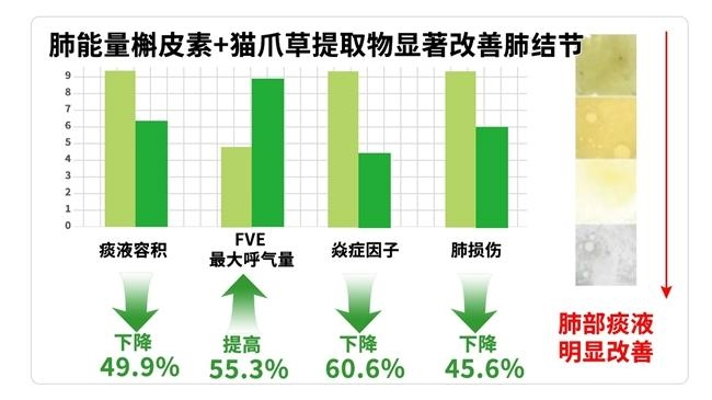 健身撸铁爱好者护肺测评槲皮素哪个牌子好?提升肺部运动后的恢复速度(图3)