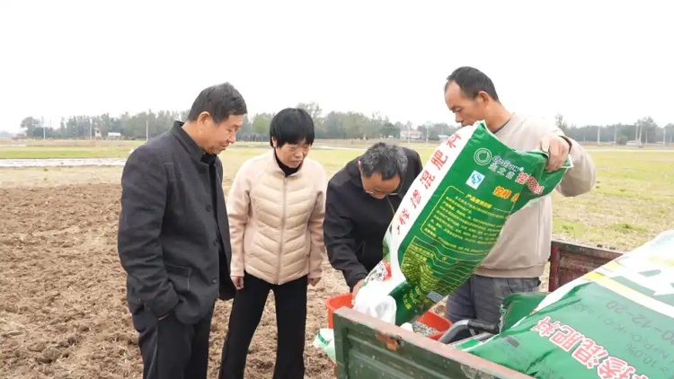 晚播不减产！看山东如何打赢秋播秋种保卫战