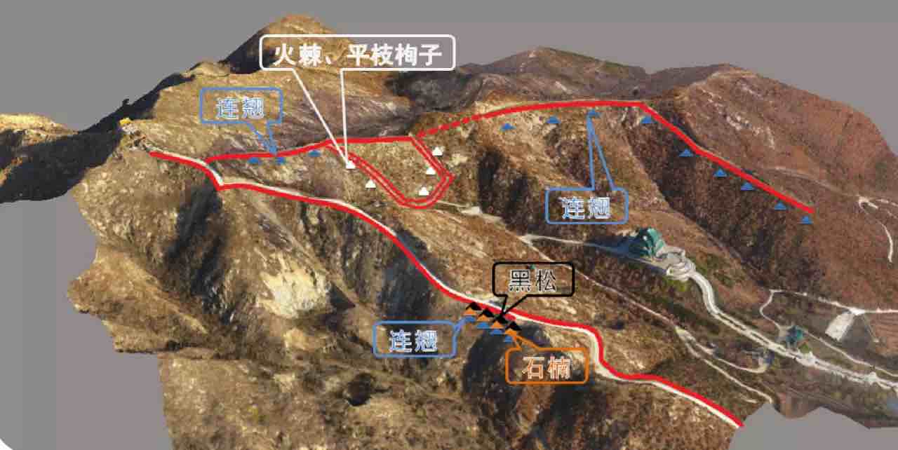 7万株,计划在仙姑顶景区打造两条景观路,将在防火通道,登山步道两侧