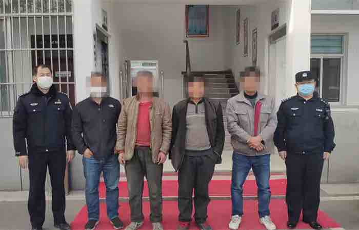 无证采伐林木立木蓄积为15.7258立方米 枣庄薛城四名"树耗子"被抓