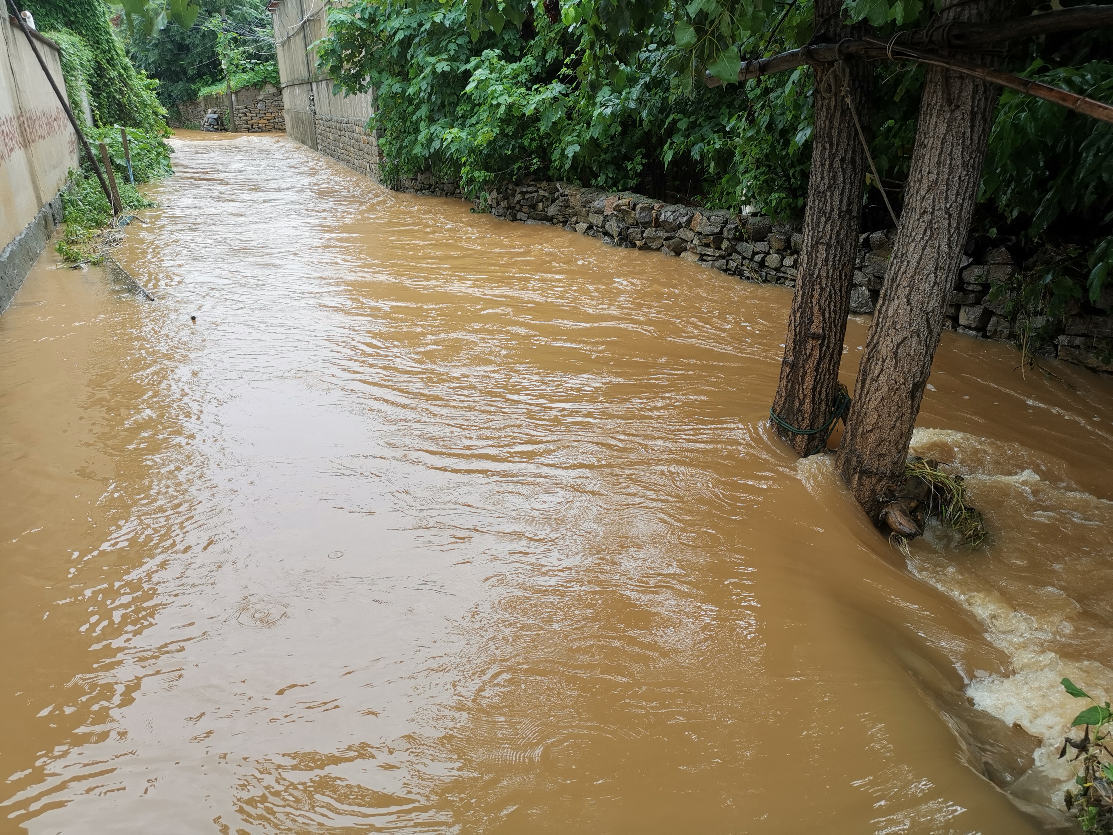 组图|临沂沂南县遭遇强降雨 最大降雨量423.1mm