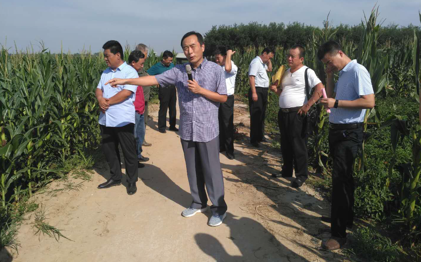 会议由武城县政府副县长韩以广主持,东顺斋辣椒专业