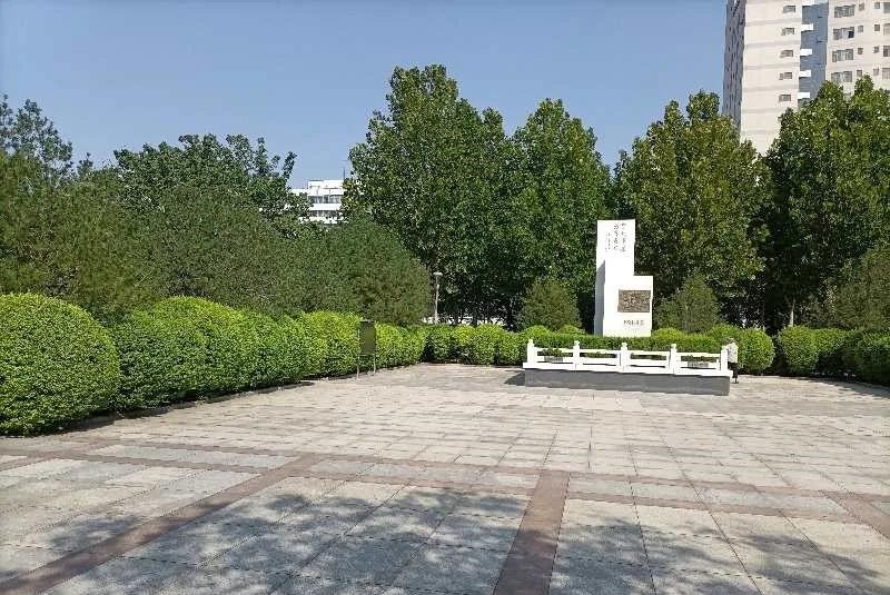 济南槐荫区昔日荒草秃岭变身绿树游园 两处广场打造园艺花境