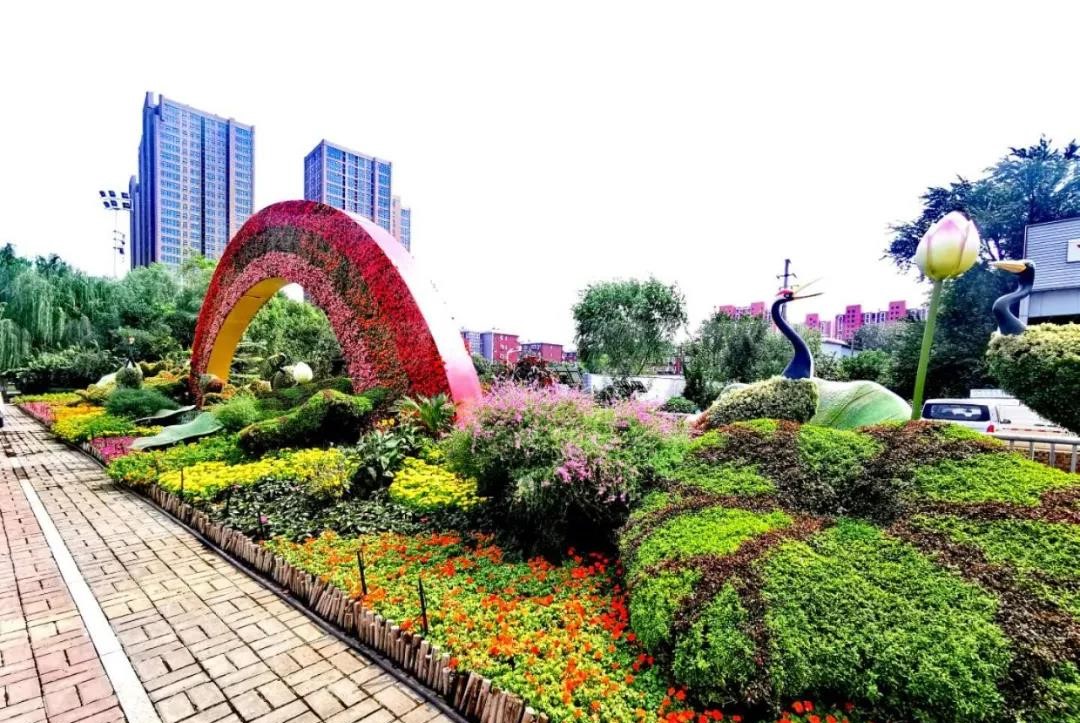 济南槐荫区昔日荒草秃岭变身绿树游园 两处广场打造园艺花境