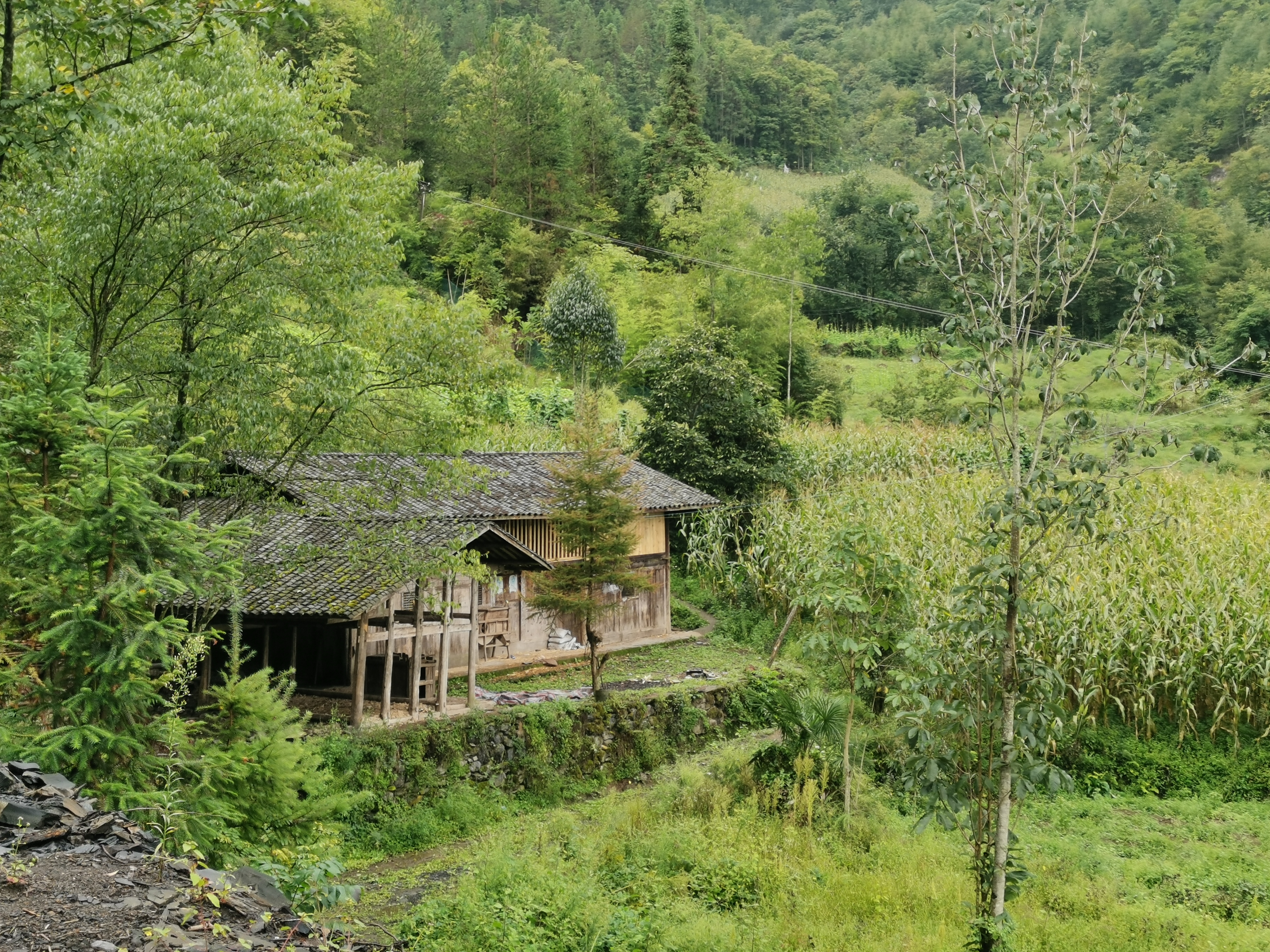 宋娜:让大巴山深处的老木屋"活"起来_齐鲁原创_山东新闻_新闻_齐鲁网