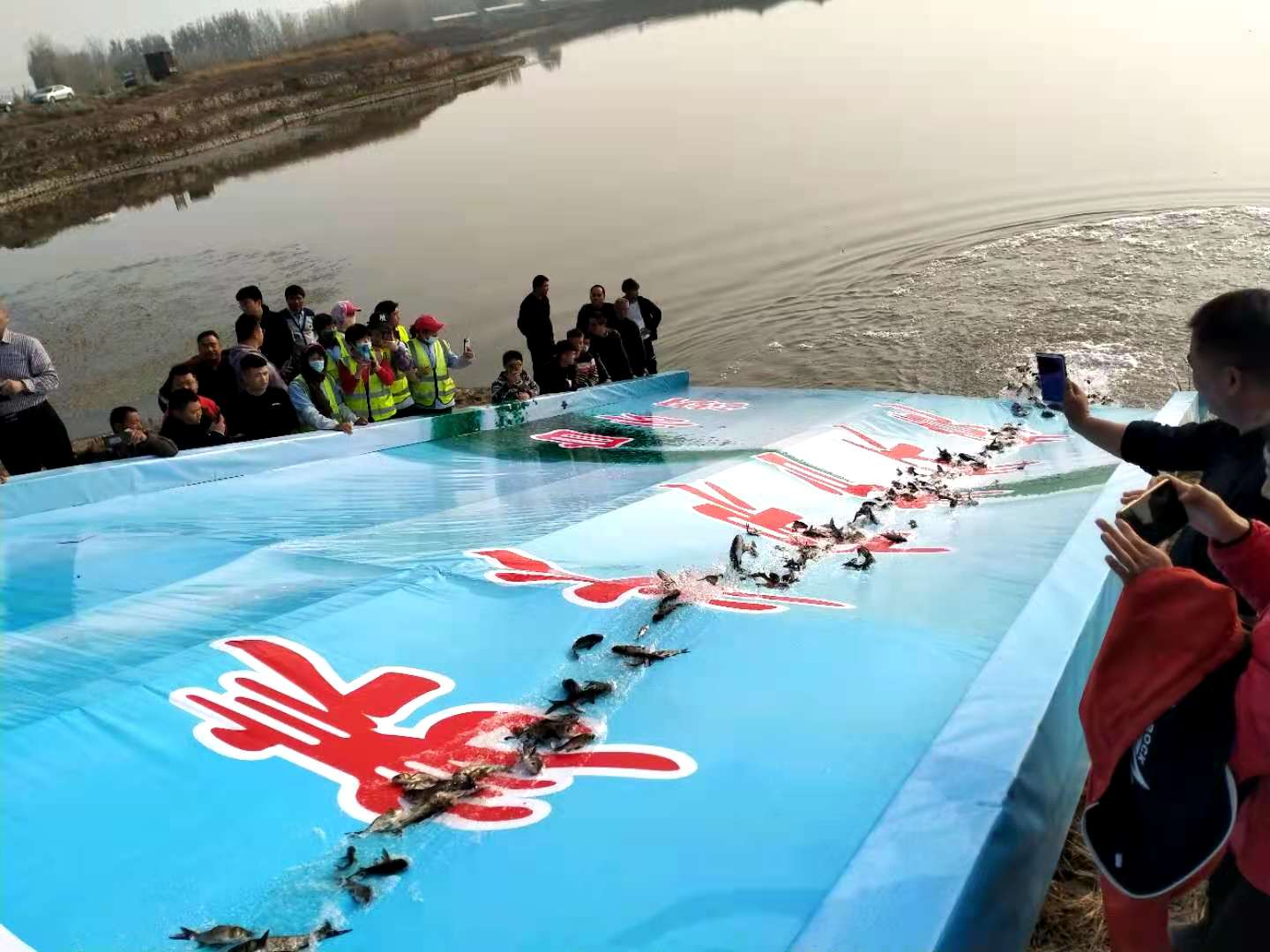 “全国放鱼日”暨2021年衢州市渔业资源增殖放流活动启动仪式在开化县举行-开化新闻网