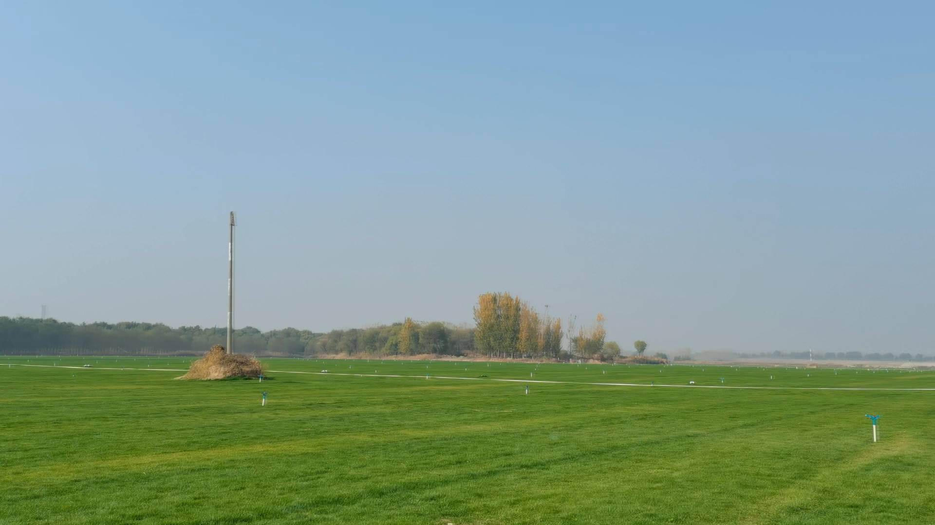 济南黄河大坝免费草坪咋收费承包人商业种植草皮已停止收费观光