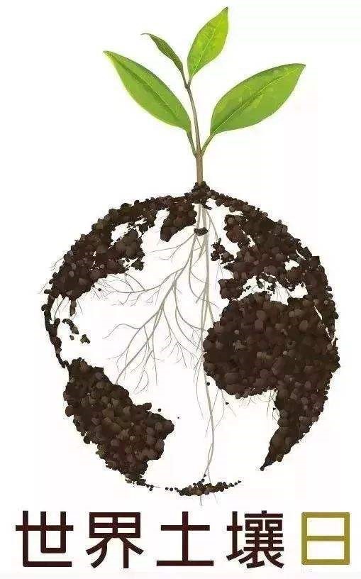 世界土壤日:保护土壤,你我参与