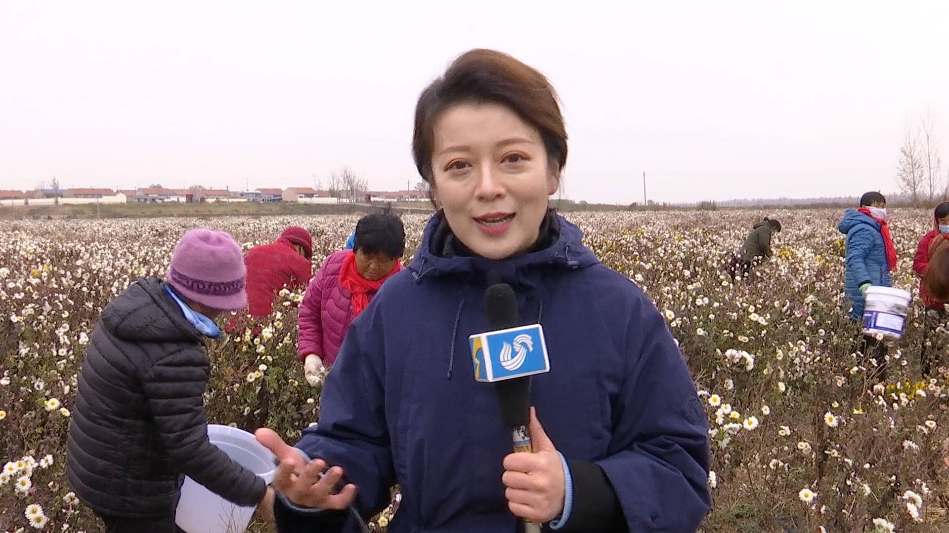 齐鲁台记者陈文欣图片