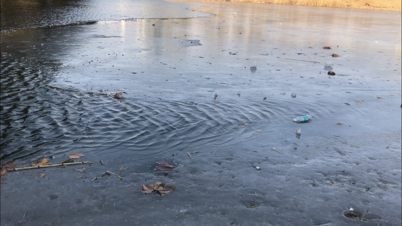 近日,在淄博高新区,临沂沂水县都出现了市民在冰面滑冰,不慎落水的