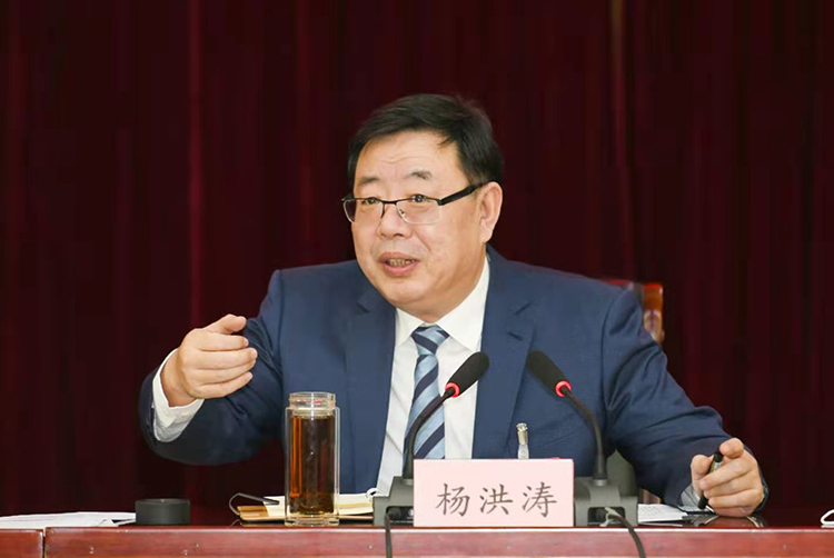 德州市长杨洪涛参加经济界委员讨论时强调优化营商环境