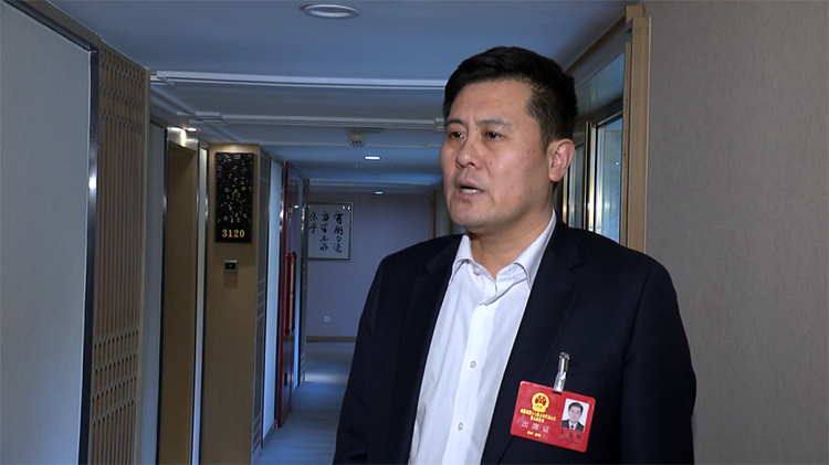 省人大代表武城县长朱恩鹤从钱人地产四个方面系统发力融合推进乡村