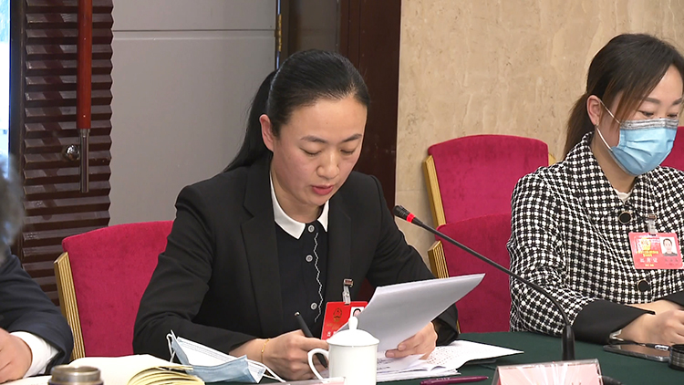 省人大代表冯红梅:扩内需,促消费,推动实体零售业线上线下融合发展
