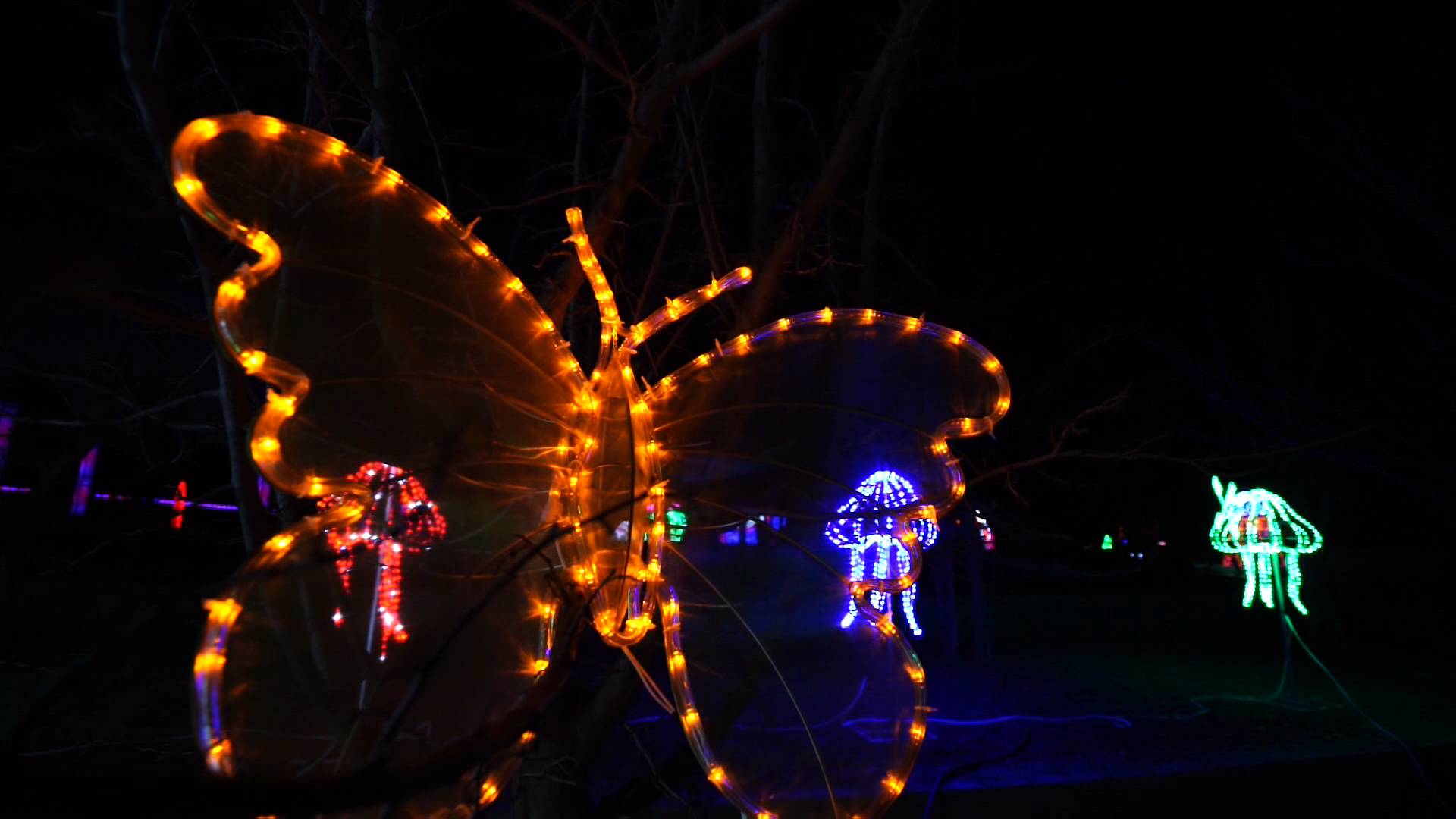 65秒丨巍峨的灯山,开屏的孔雀……潍坊青州梦幻灯光秀年味十足