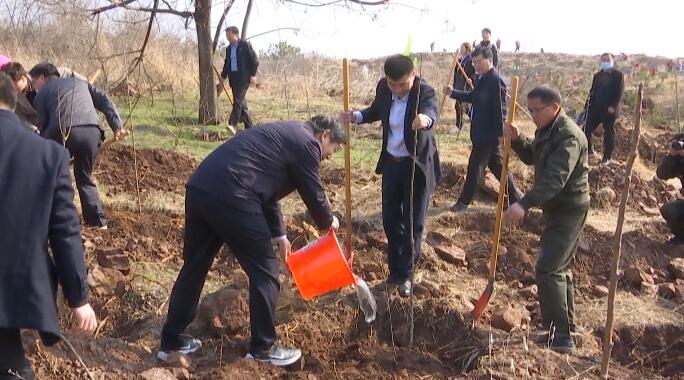 42秒｜郯城县组织开展义务植树活动 栽植树木1.2万株