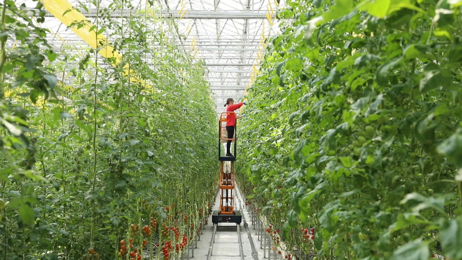 "云"上种菜新时尚!107秒视频告诉你实现"农场自由"总共分几步?