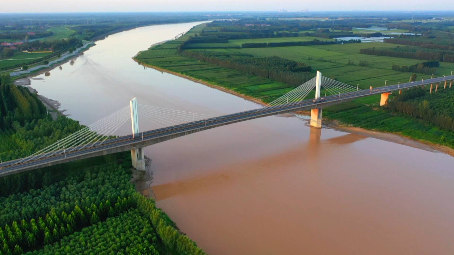 沿着高速看山东 | 沿黄生态廊成就张军的"务农梦"