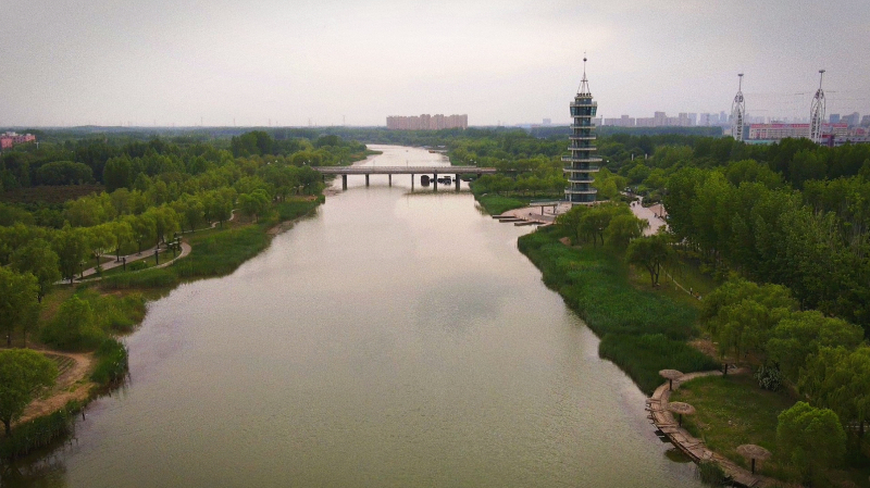 德州减河湿地风景区图片