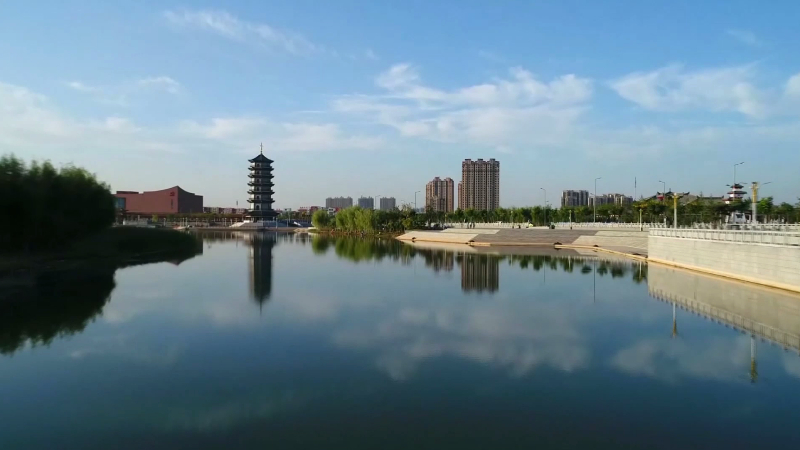 住在林荫间 行在芳草中!记者带你解秘生态齐河的"长寿密码"