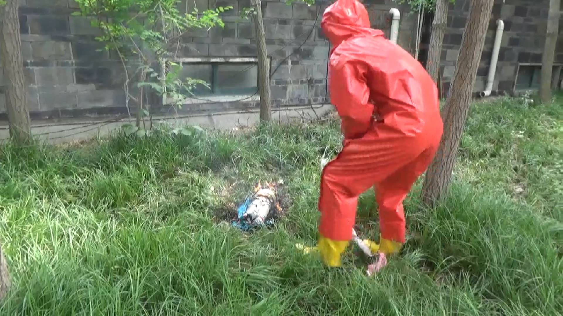 临沂：蜜蜂筑巢家中油烟机 消防员手摘蜂窝除隐患