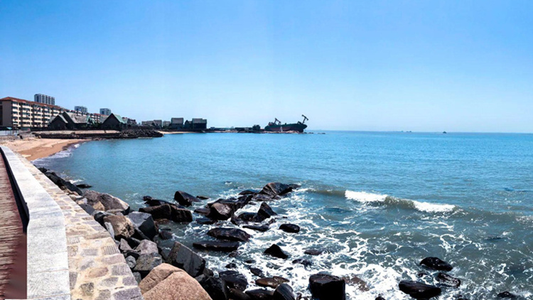 山东新闻 科教社会改革开放40多年来,大鱼岛村发生了翻天覆地的变化.