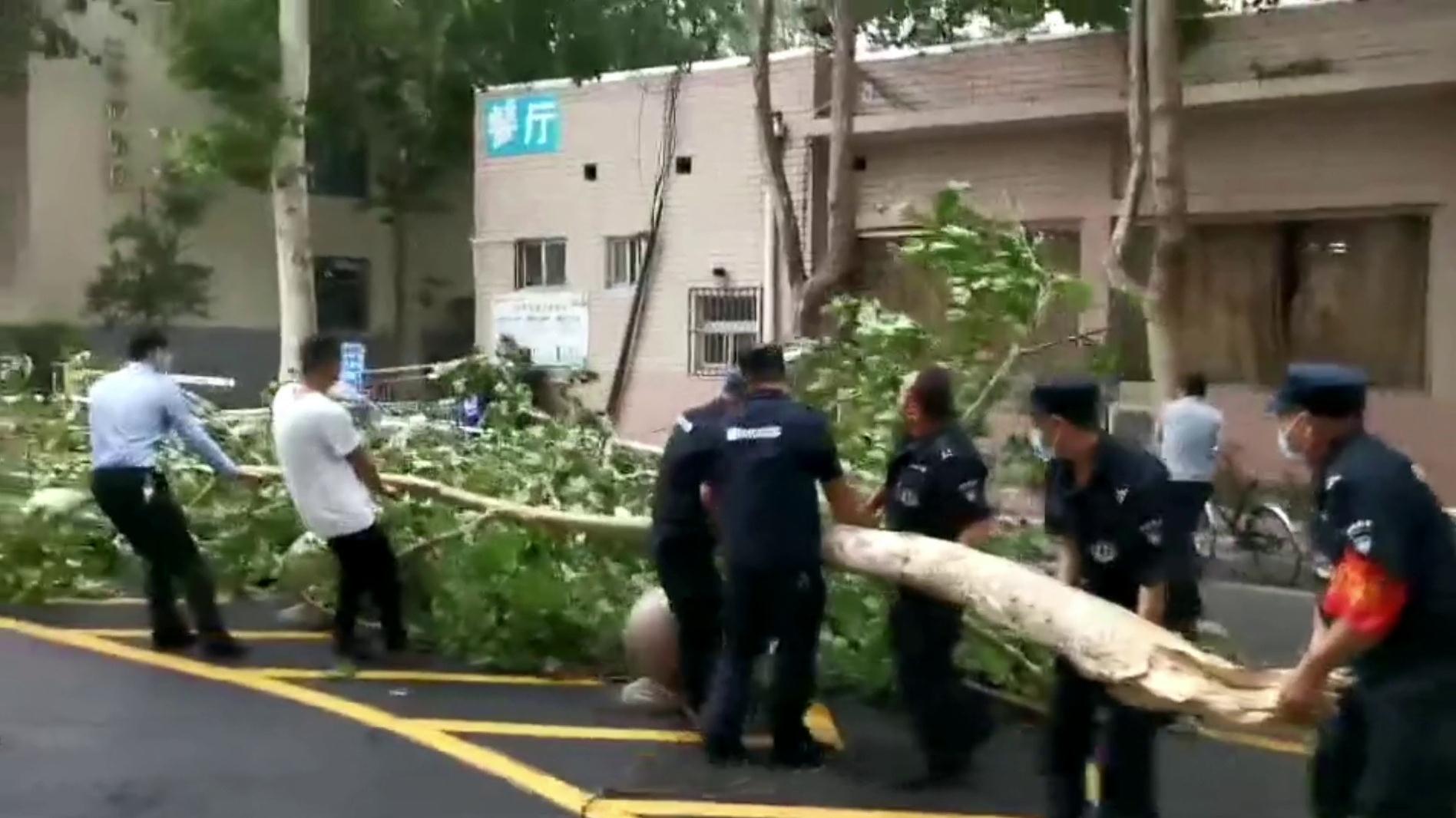 济南狂风大作，一棵行道树被吹倒横在路上，保安与热心市民冒雨清理