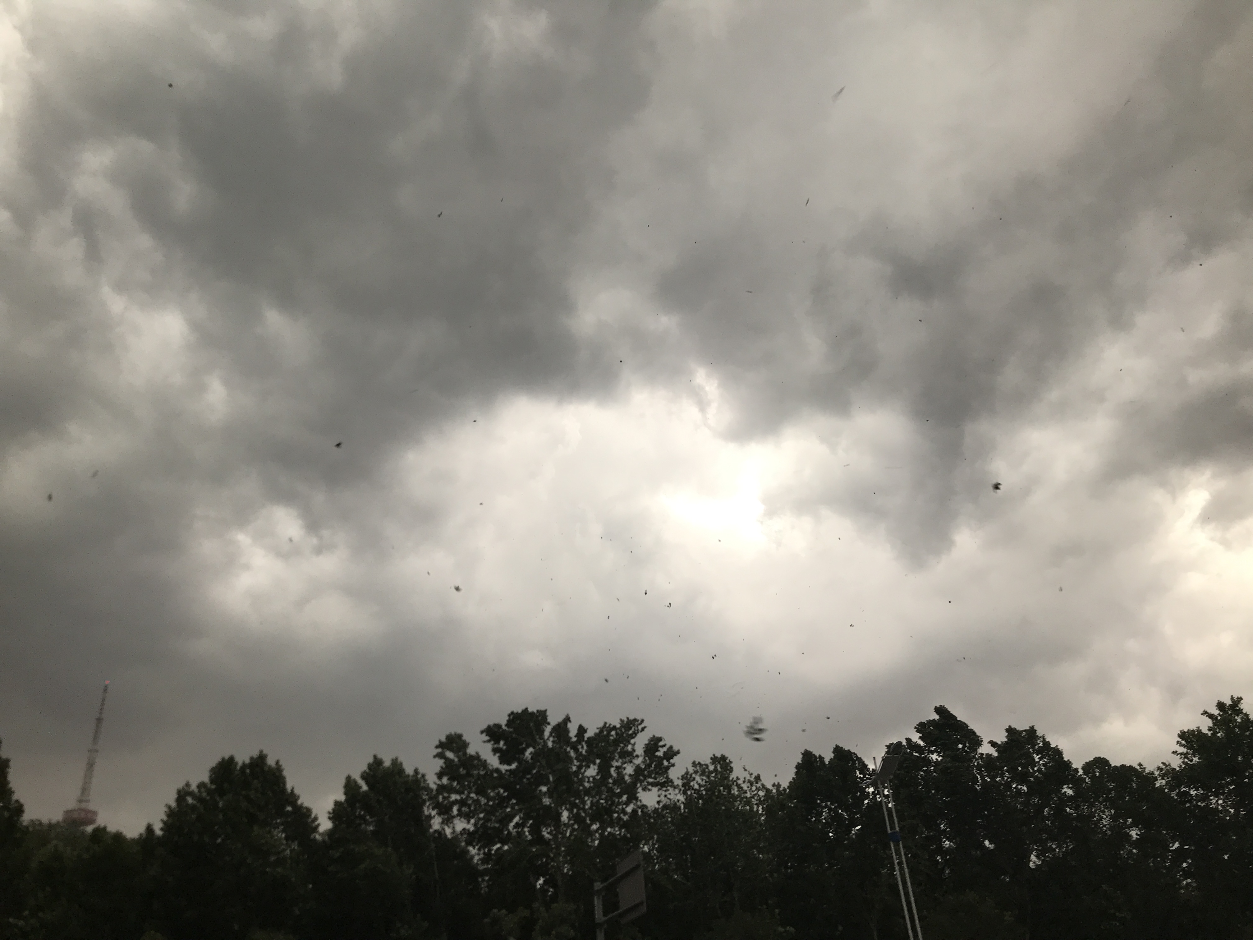 最大冰雹直径超2厘米!