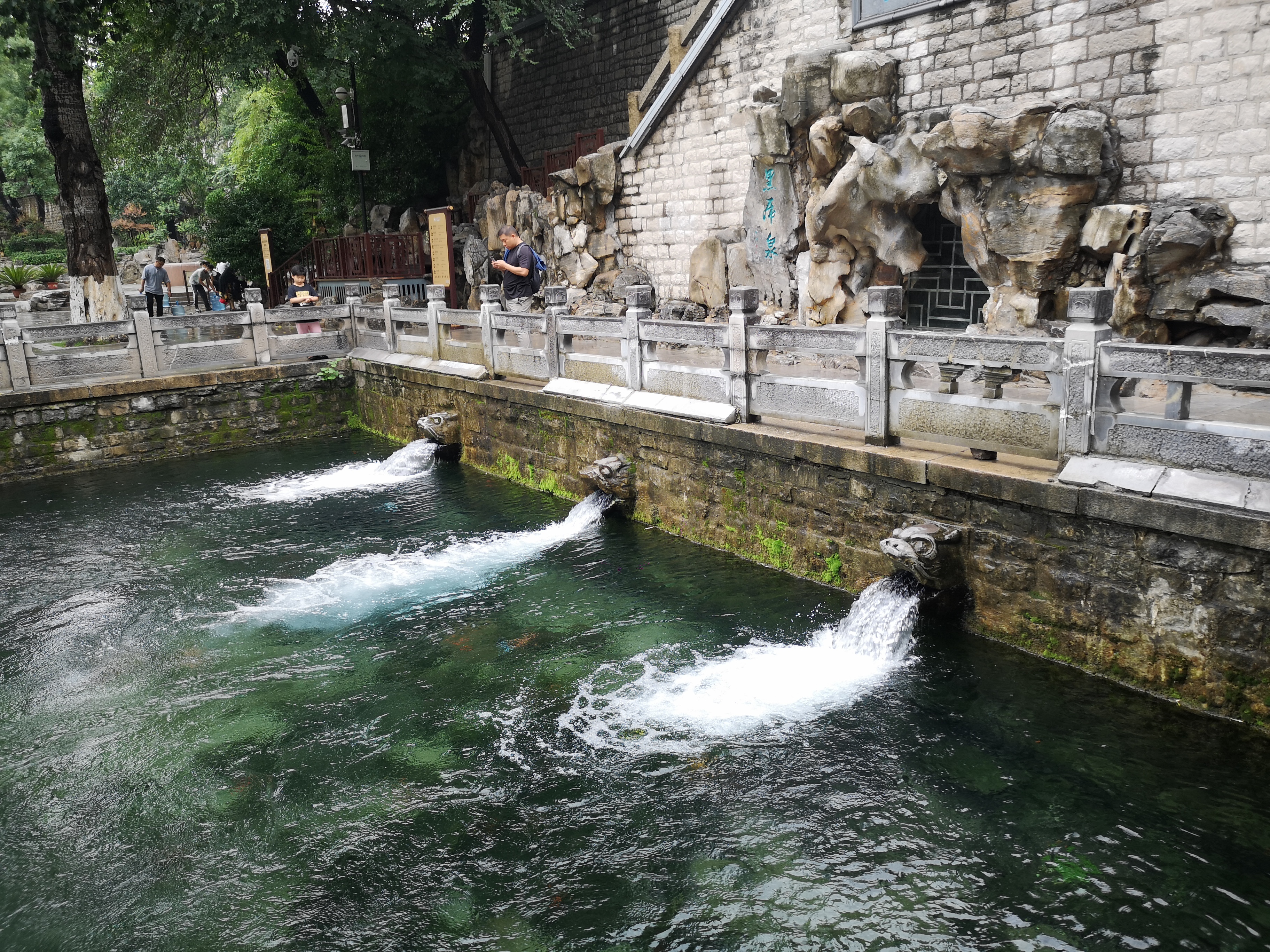 vlog丨秋雨来临 济南护城河提前提闸放水