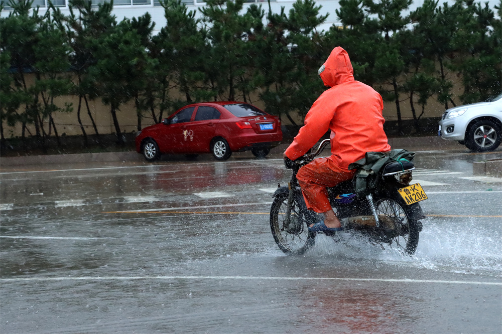 组图丨威海市区普有降雨 路上行人风雨中疾步行走