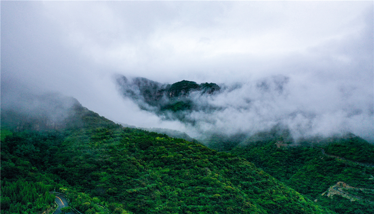 清晨6点,森林中的云雾奇观若隐若现,宛若人间仙境