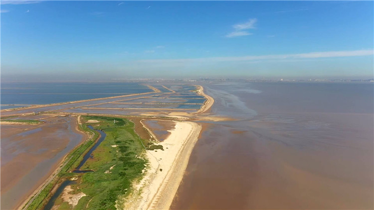 诗画山东超美无棣30公里绵延贝壳堤尽显黄金海岸线