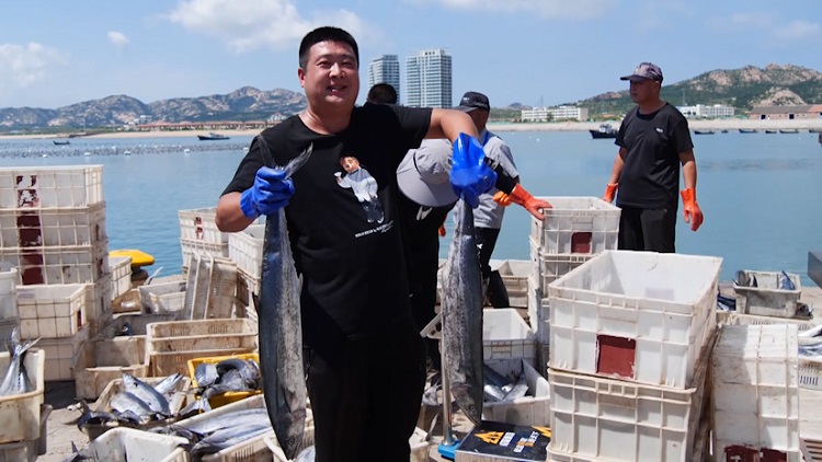 威海荣成渔民出海两天满载而归商贩市民抢购忙